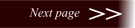 NEXT-PAGE