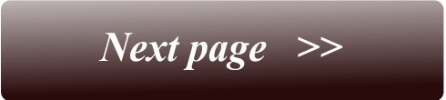 next-page